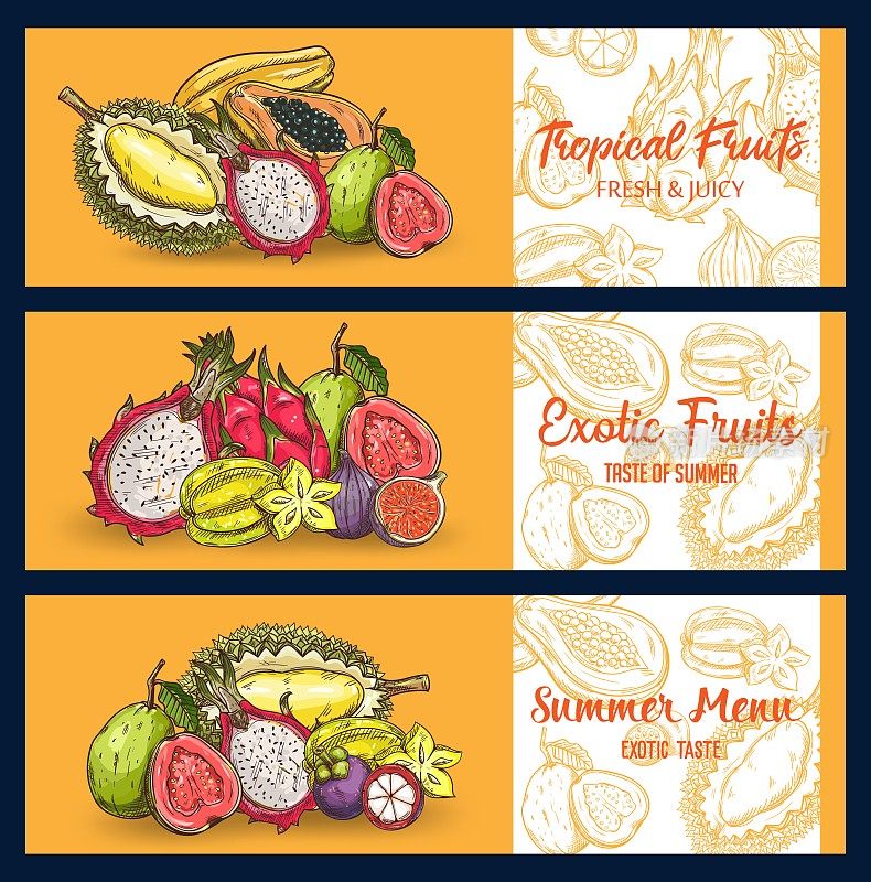 Tropical fruits vector chalk sketch banners set